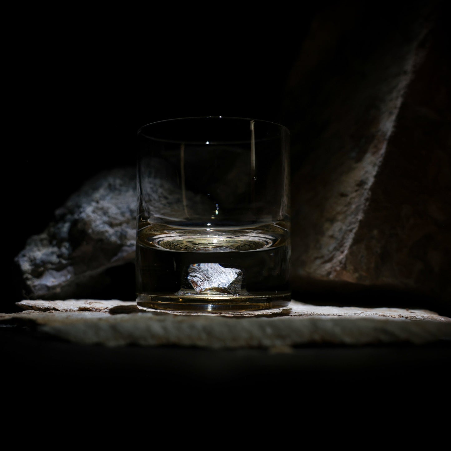 Dinosaur Bone Shard Tumbler Glasses