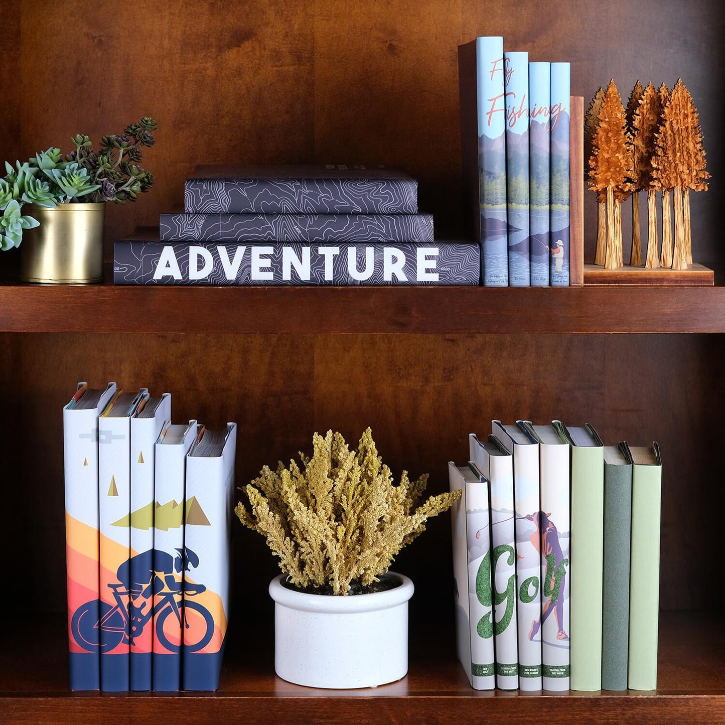 Adventure Book Set