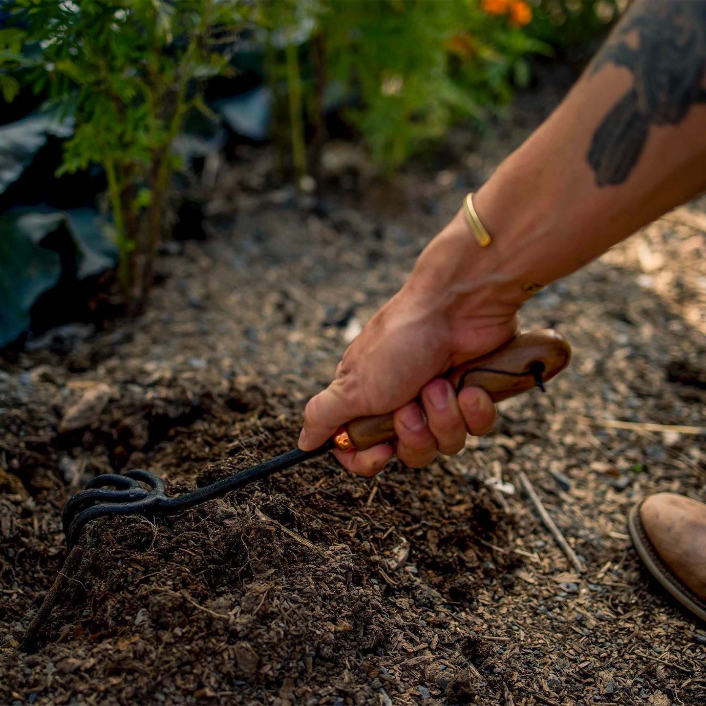 Barebones Cultivator