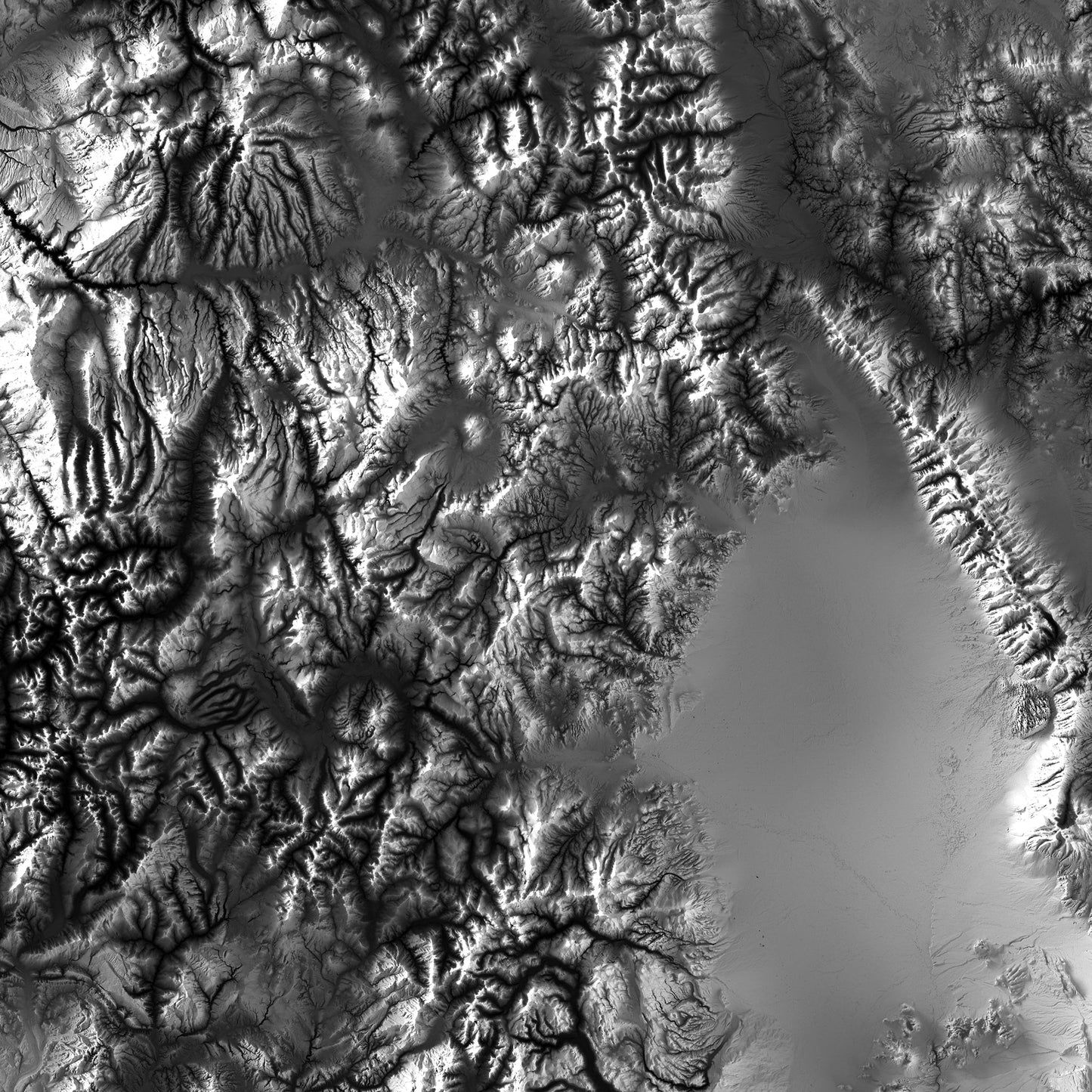 Colorado Elevation Map
