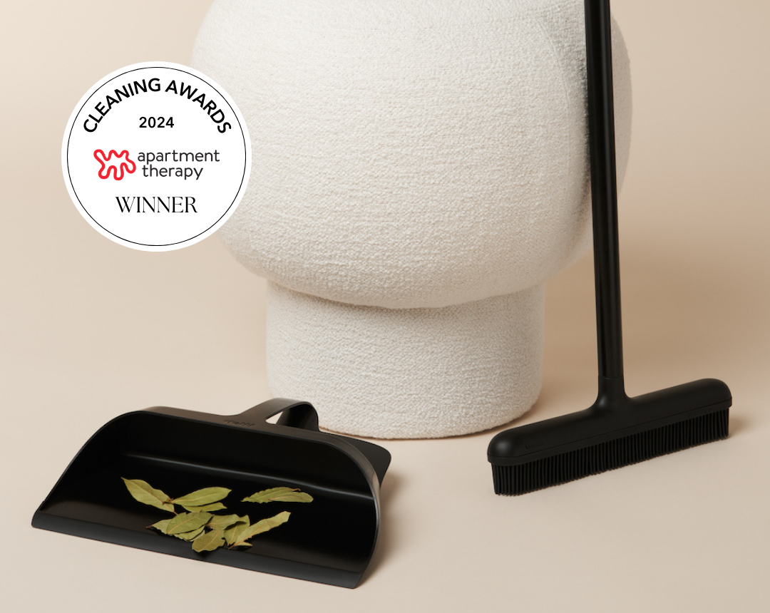 Dotti Odyssey Broom & Dustpan