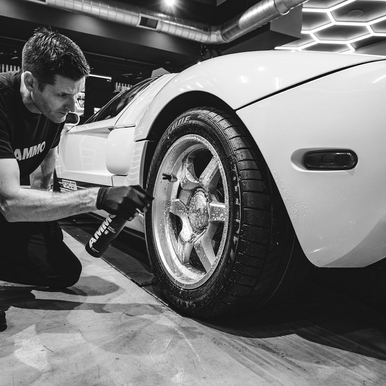 AMMO Plum Wheel Cleaner