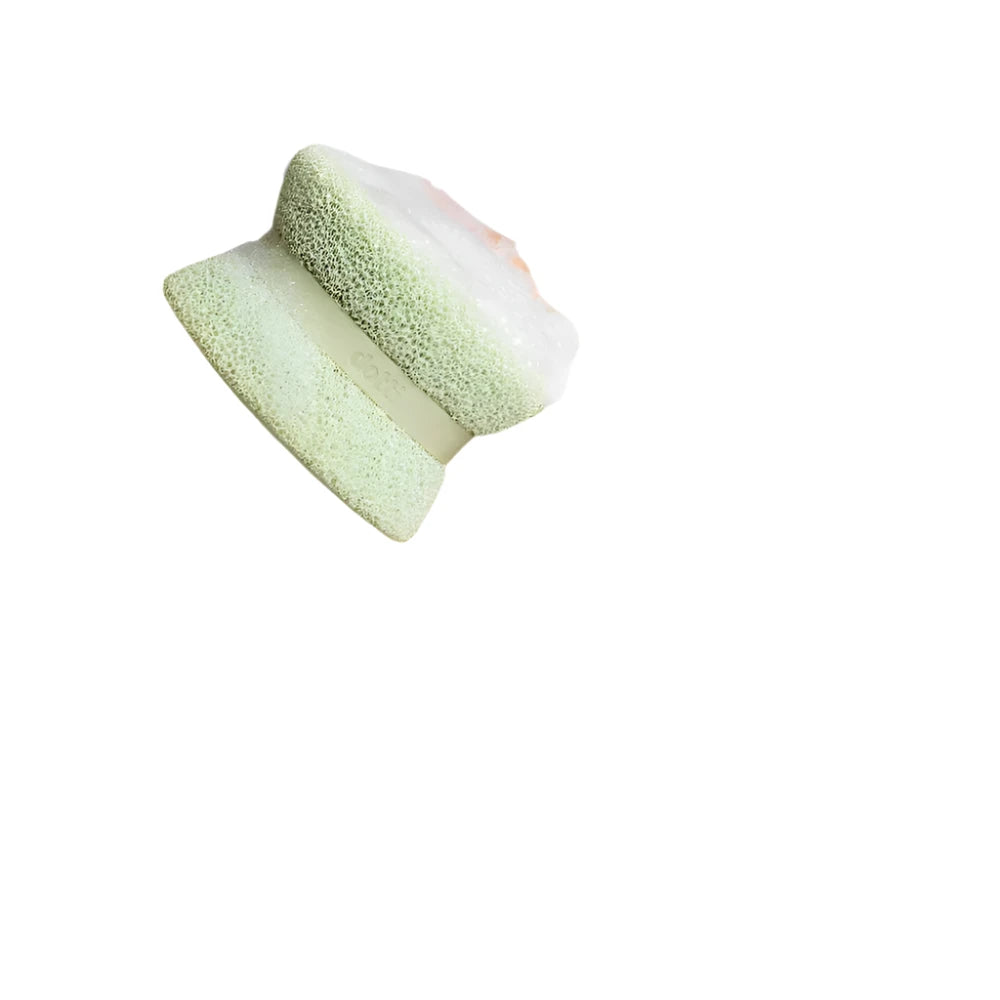 Dotti Home Super Scrubber Variety Pack