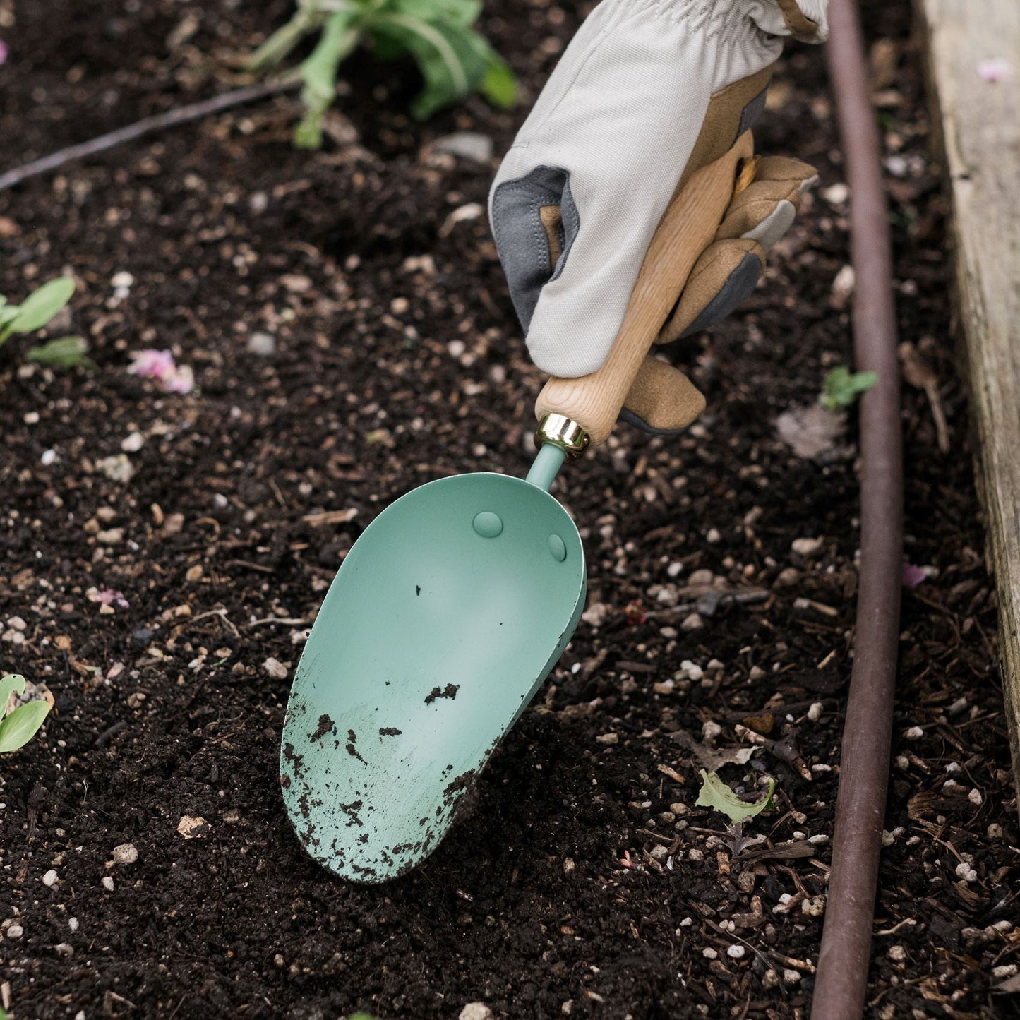 Barebones Garden Scoop