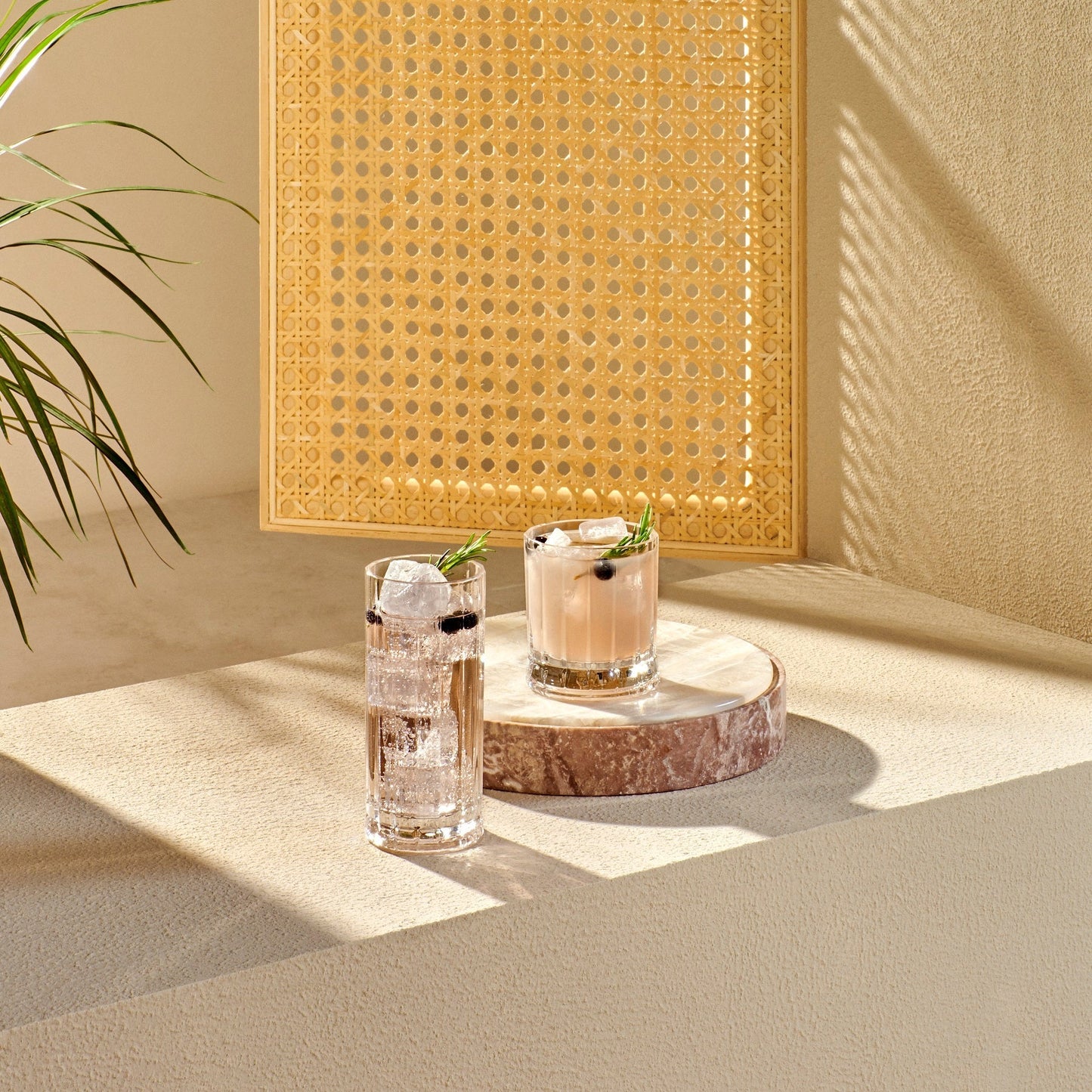 Wayne High Ball Glasses 8.5 oz