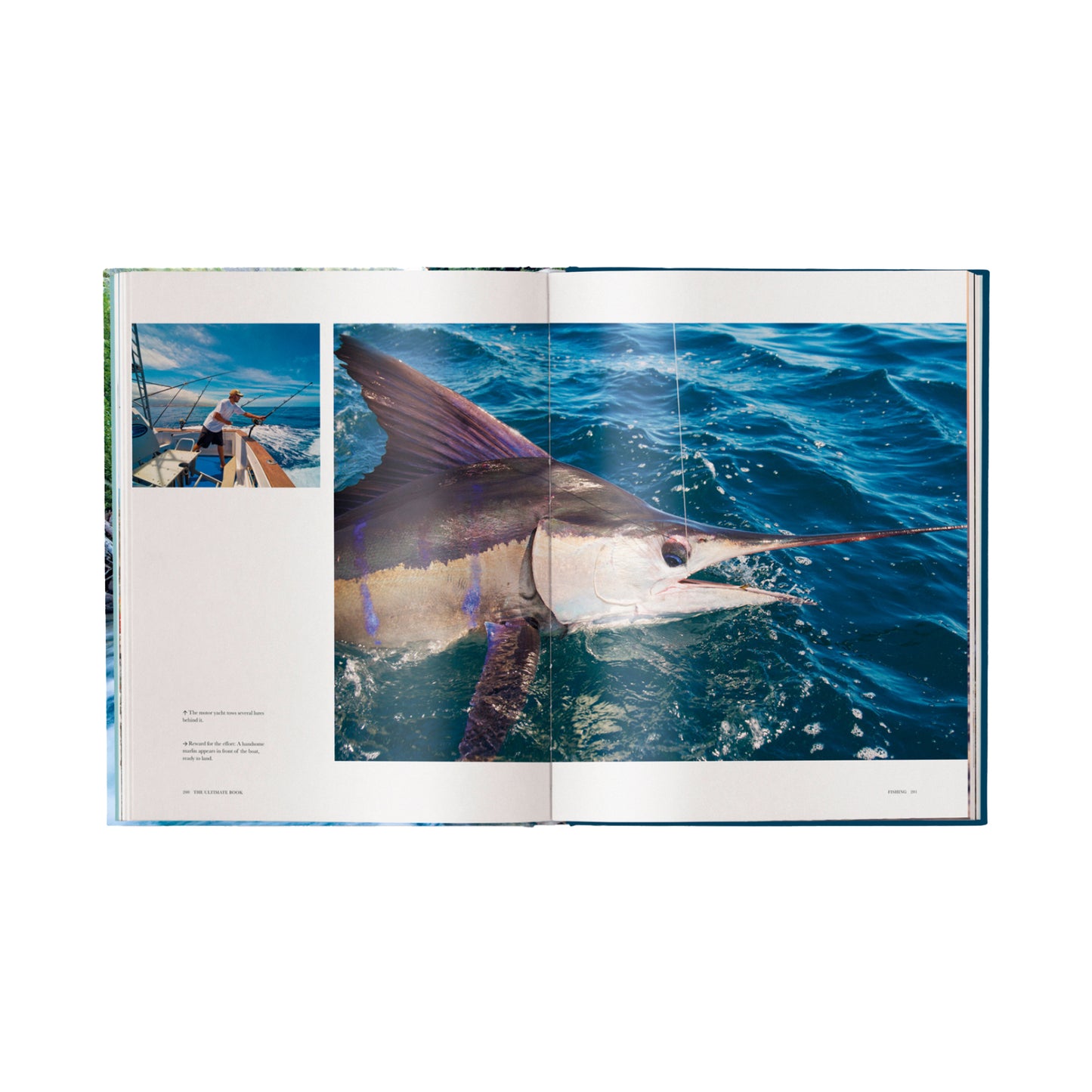 Fishing: The Ultimate Book