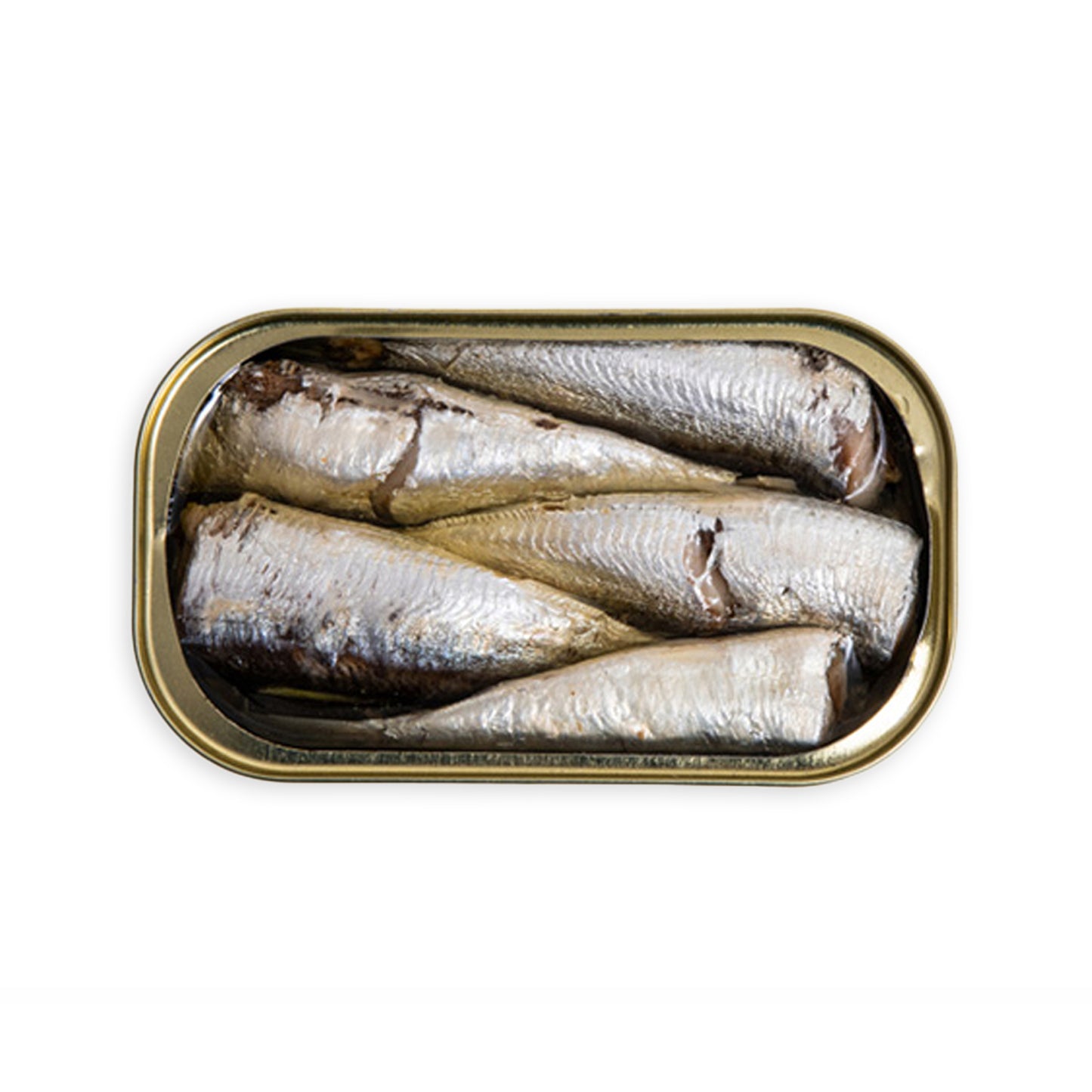 Minnow Sardines & Snails