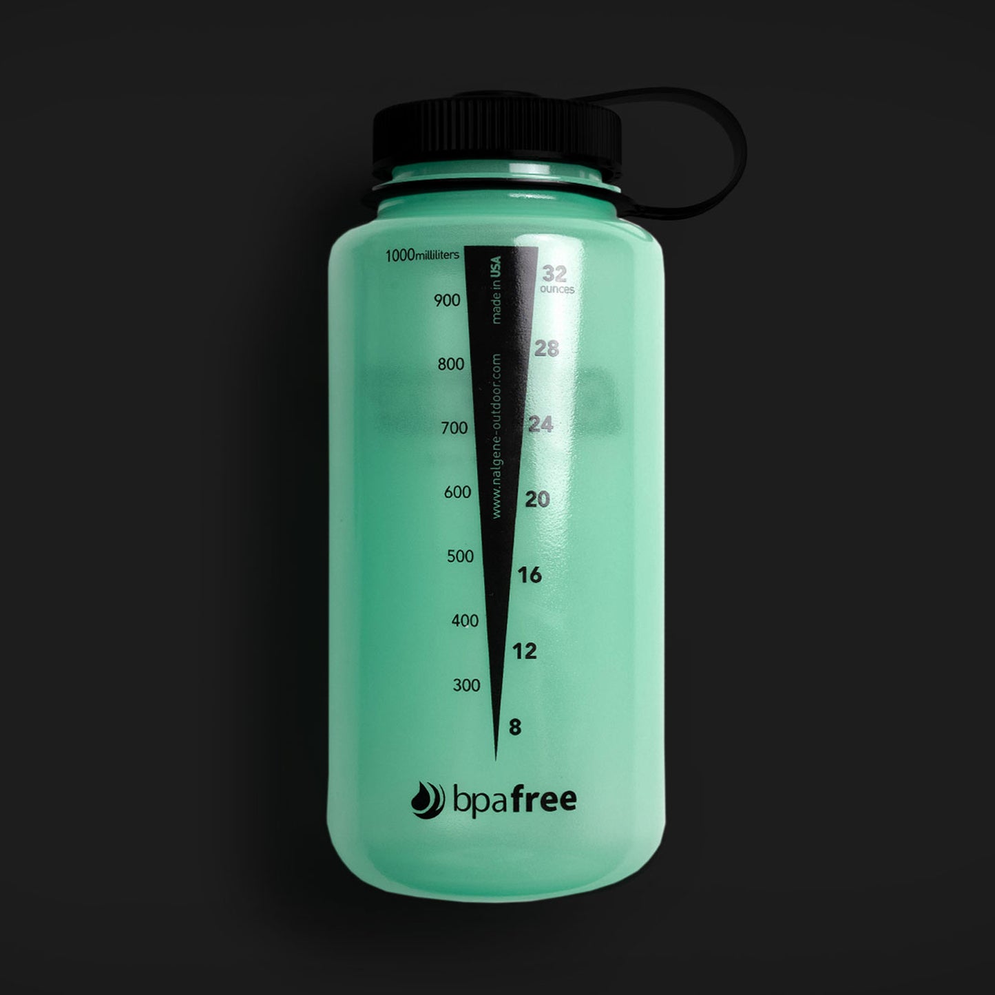 Nalgene Glow in the Dark Water Bottle