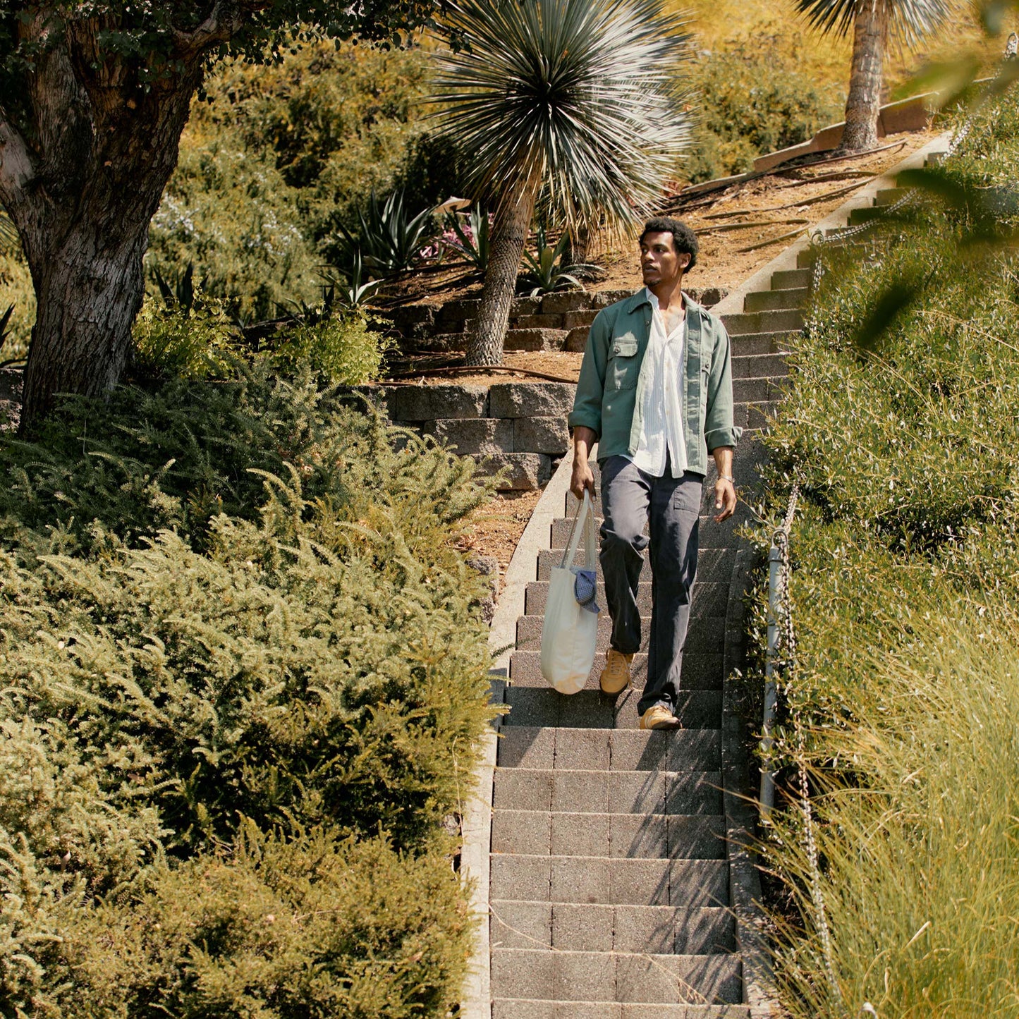 imogene + willie oliver military trouser