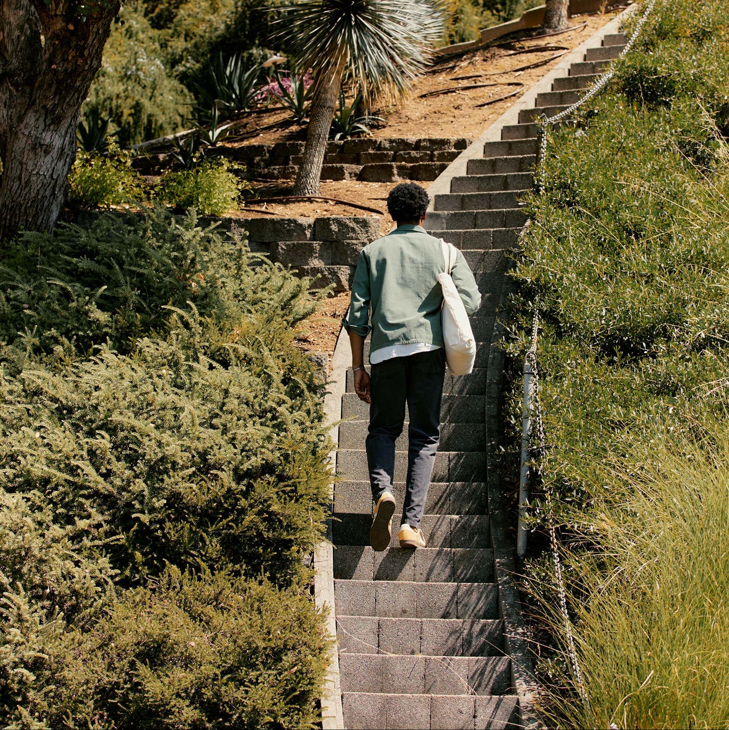 imogene + willie oliver military trouser