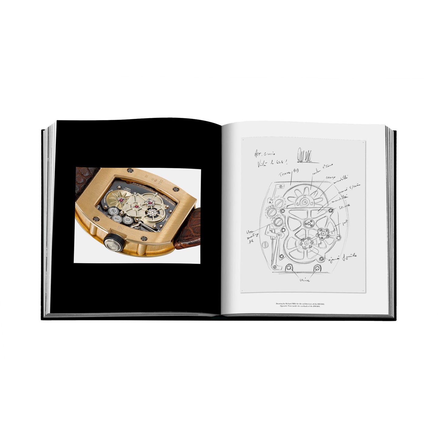 Richard Mille: The Impossible Collection