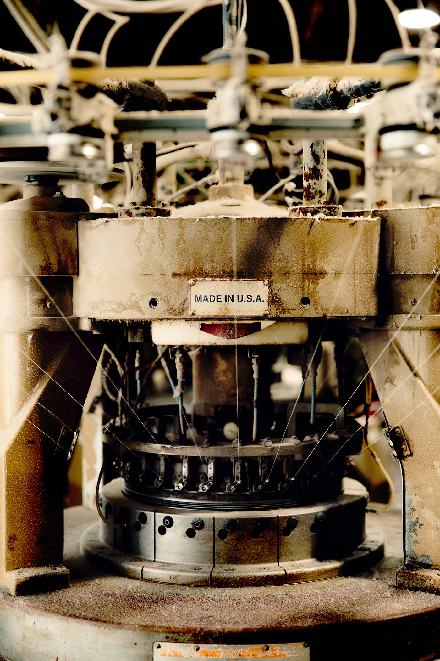 imogene + willie the cotton project tee