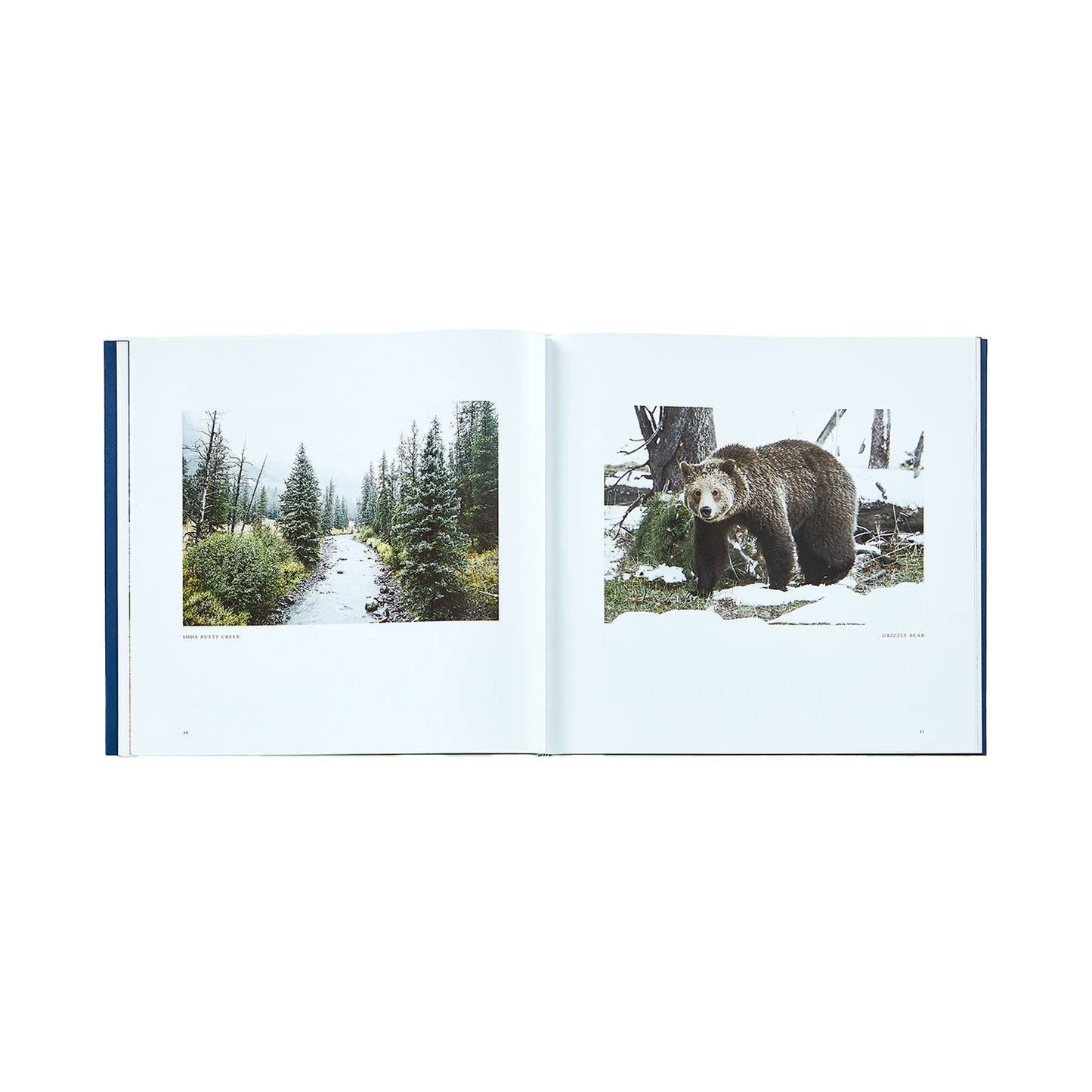 Yellowstone: A Land of Wild and Wonder