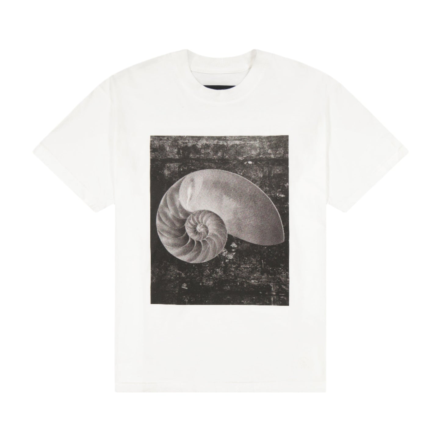AARON LEVINE NAUTILUS TEE