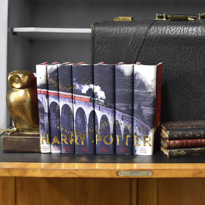 Harry Potter by J.K. Rowling Train Book Set