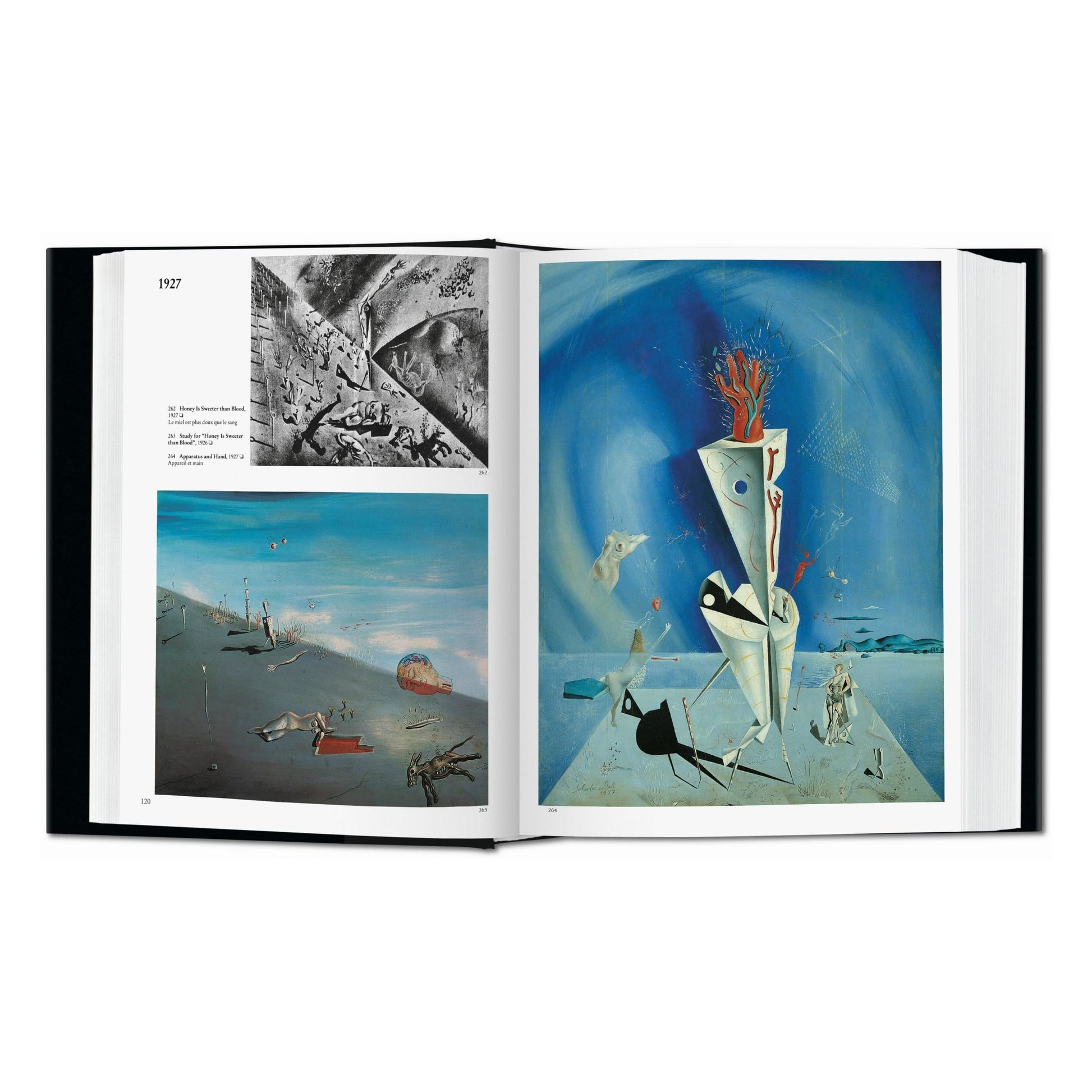 Dalí. The Paintings