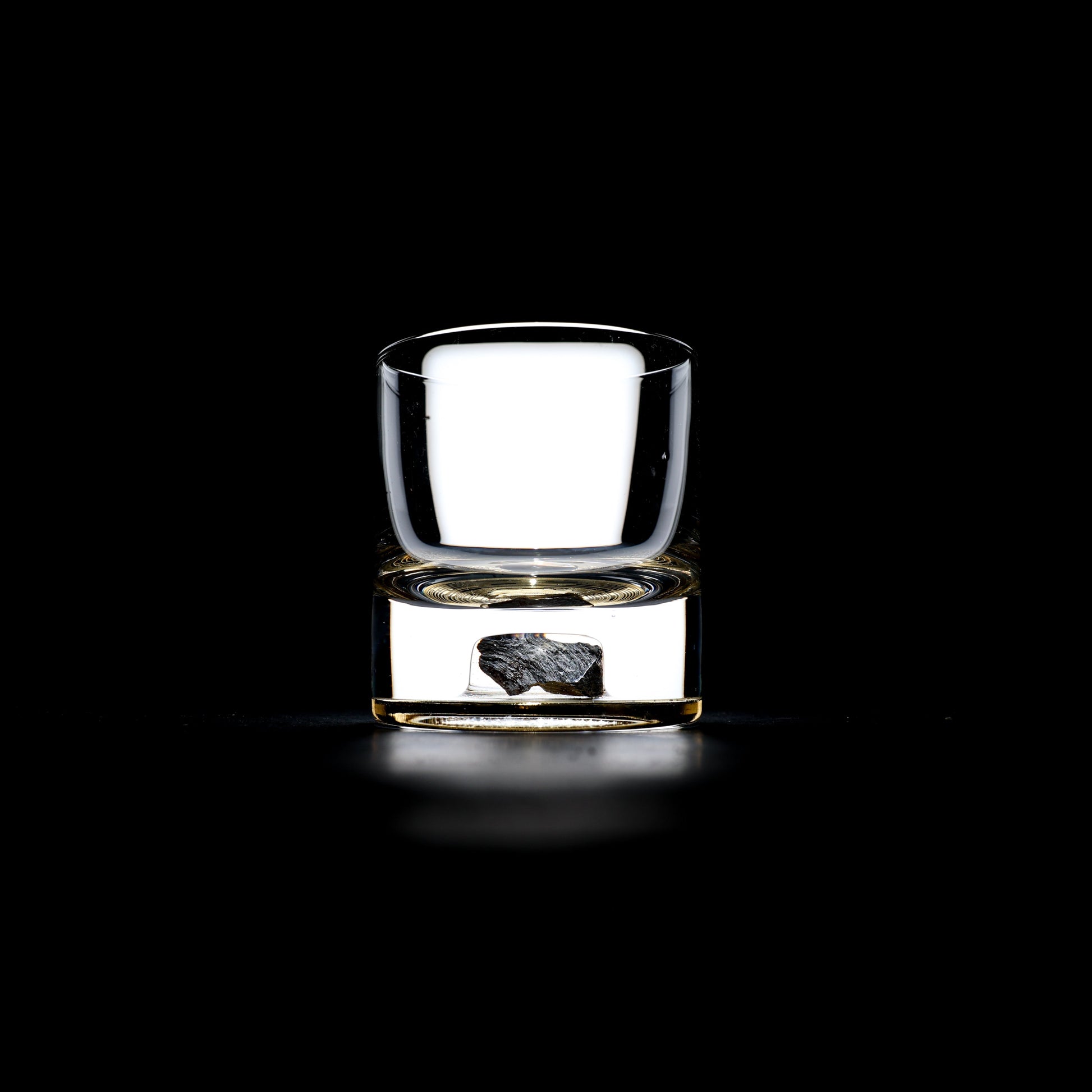 Dinosaur Bone Shard Tumbler - Set of 2