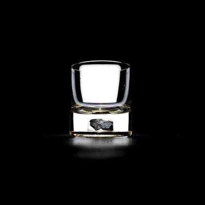 Dinosaur Bone Shard Tumbler - Set of 2