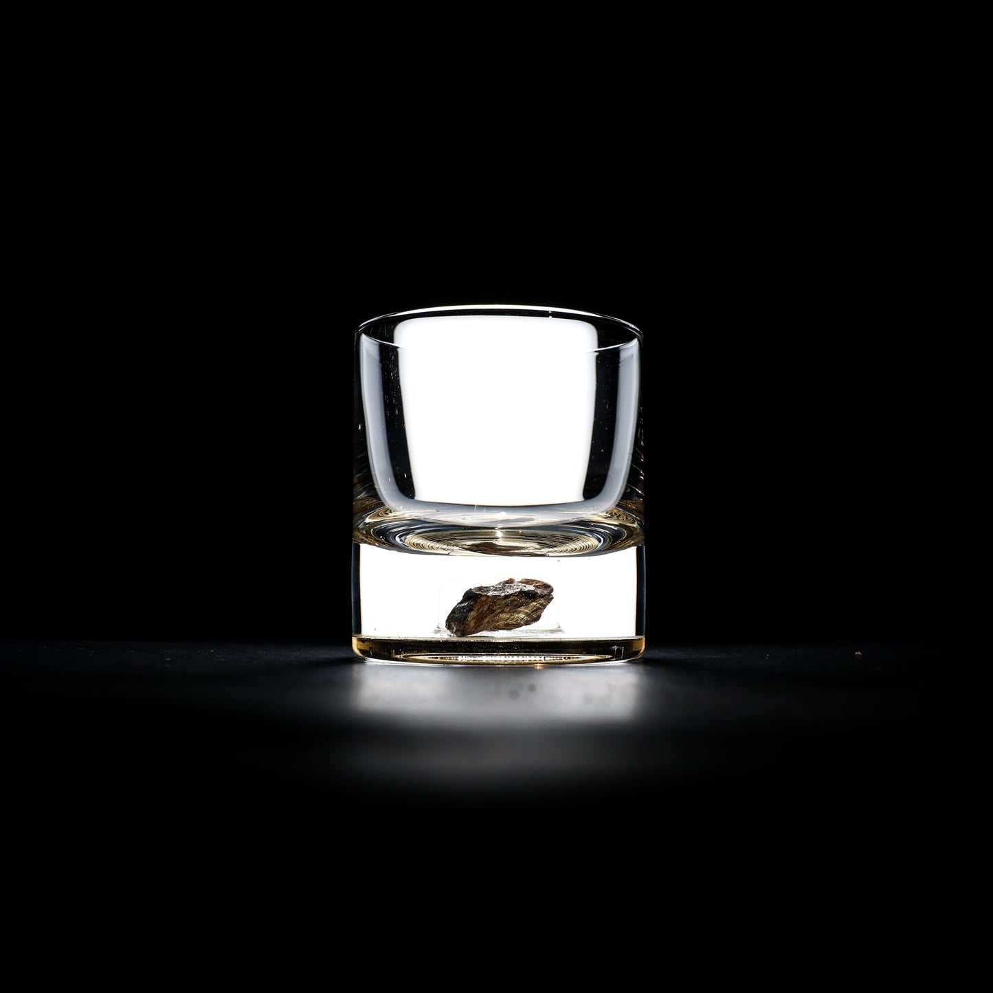Dinosaur Bone Shard Tumbler - Set of 2