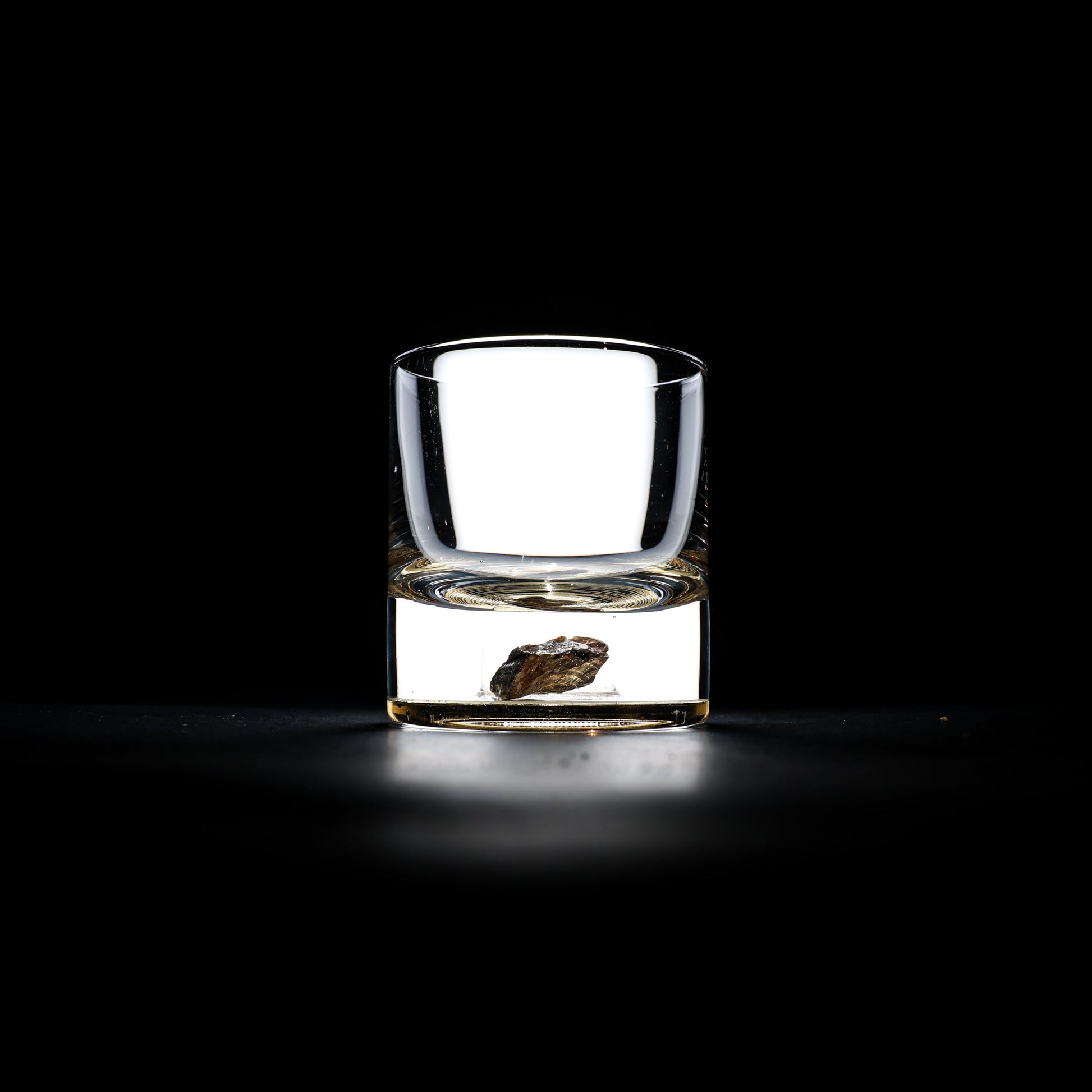Dinosaur Bone Shard Tumbler - Set of 2