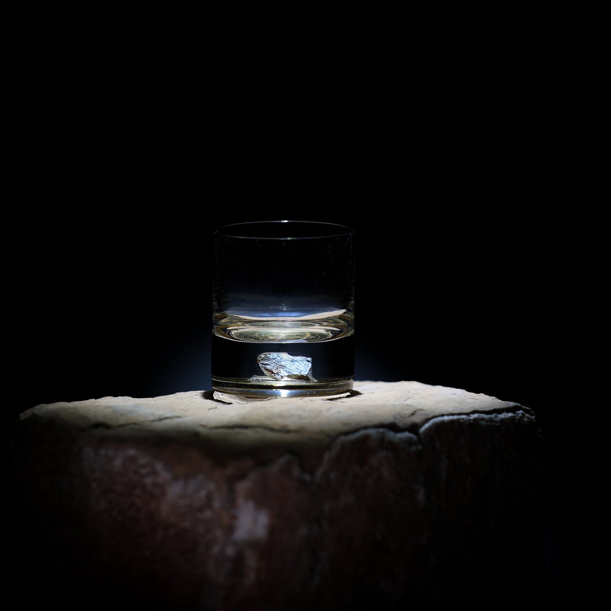 Dinosaur Bone Shard Tumbler - Set of 2