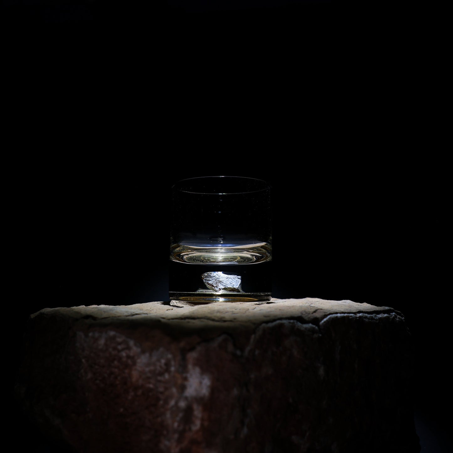 Dinosaur Bone Shard Tumbler - Set of 2