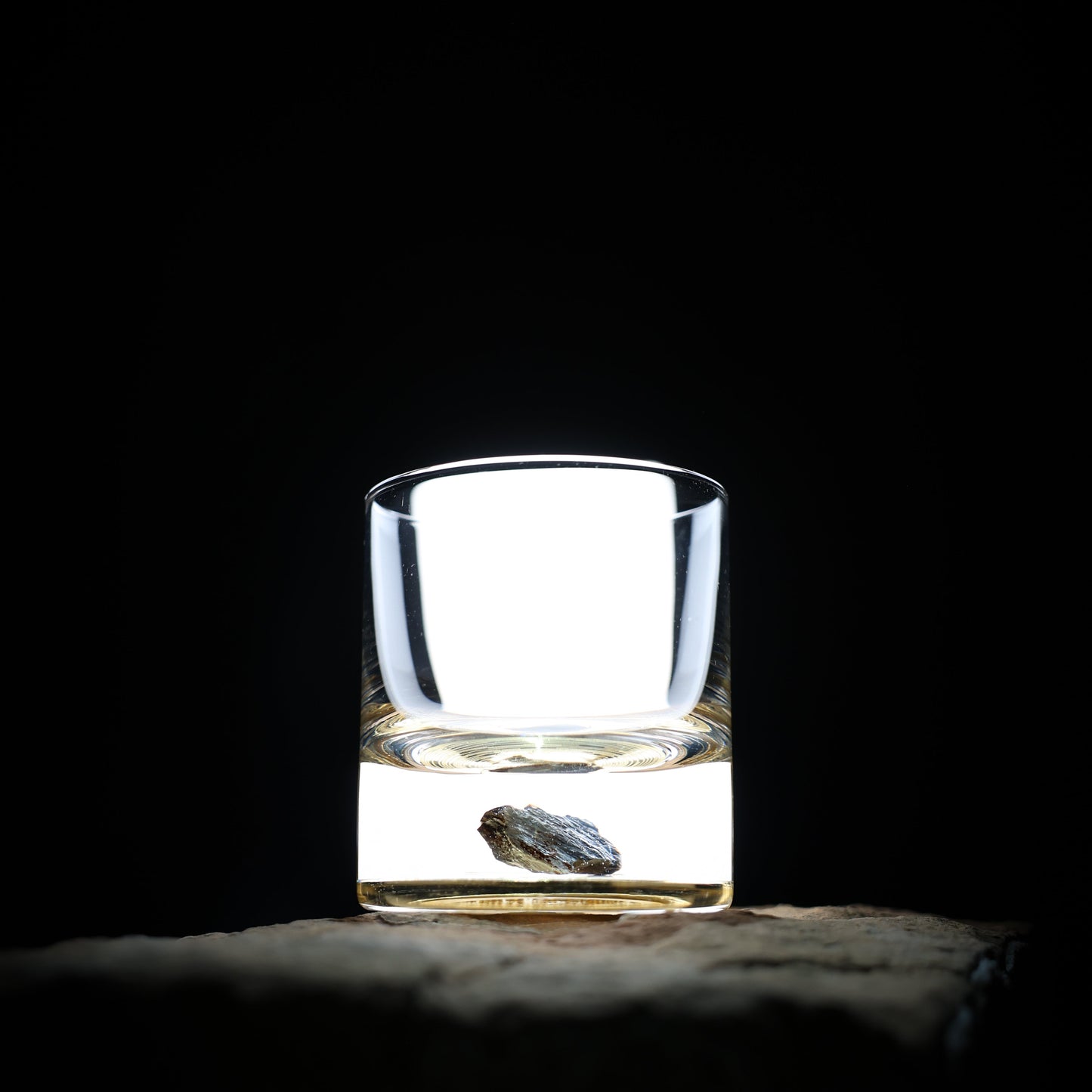 Dinosaur Bone Shard Tumbler - Set of 2