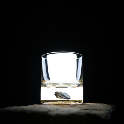 Dinosaur Bone Shard Tumbler - Set of 2