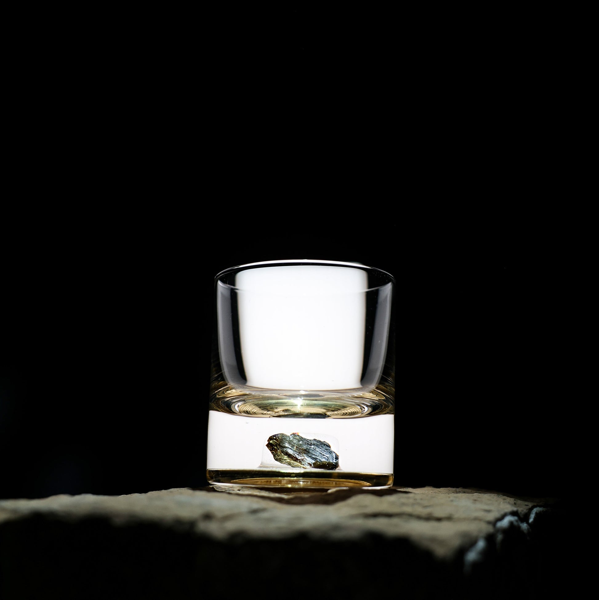 Dinosaur Bone Shard Tumbler - Set of 2