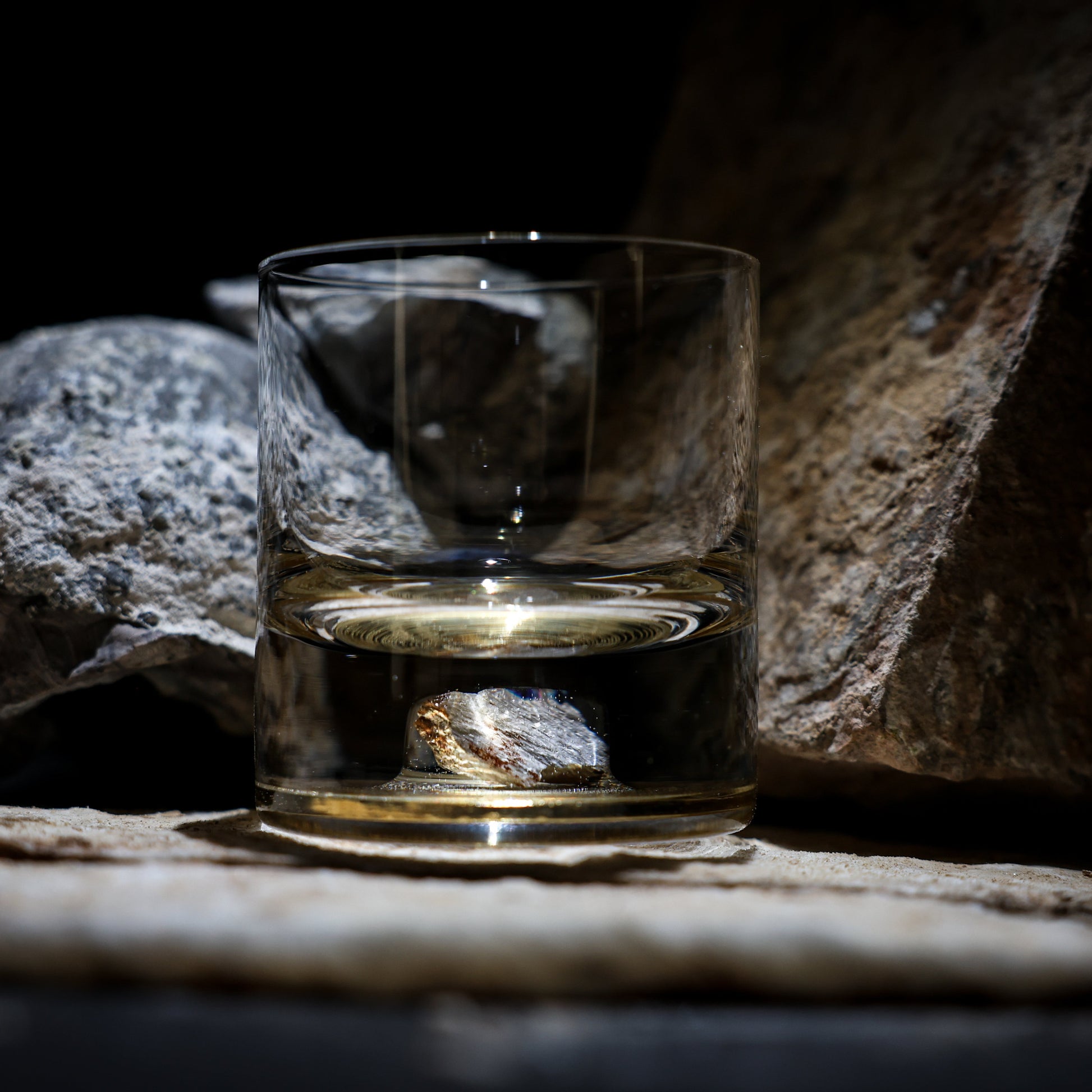 Dinosaur Bone Shard Tumbler - Set of 2