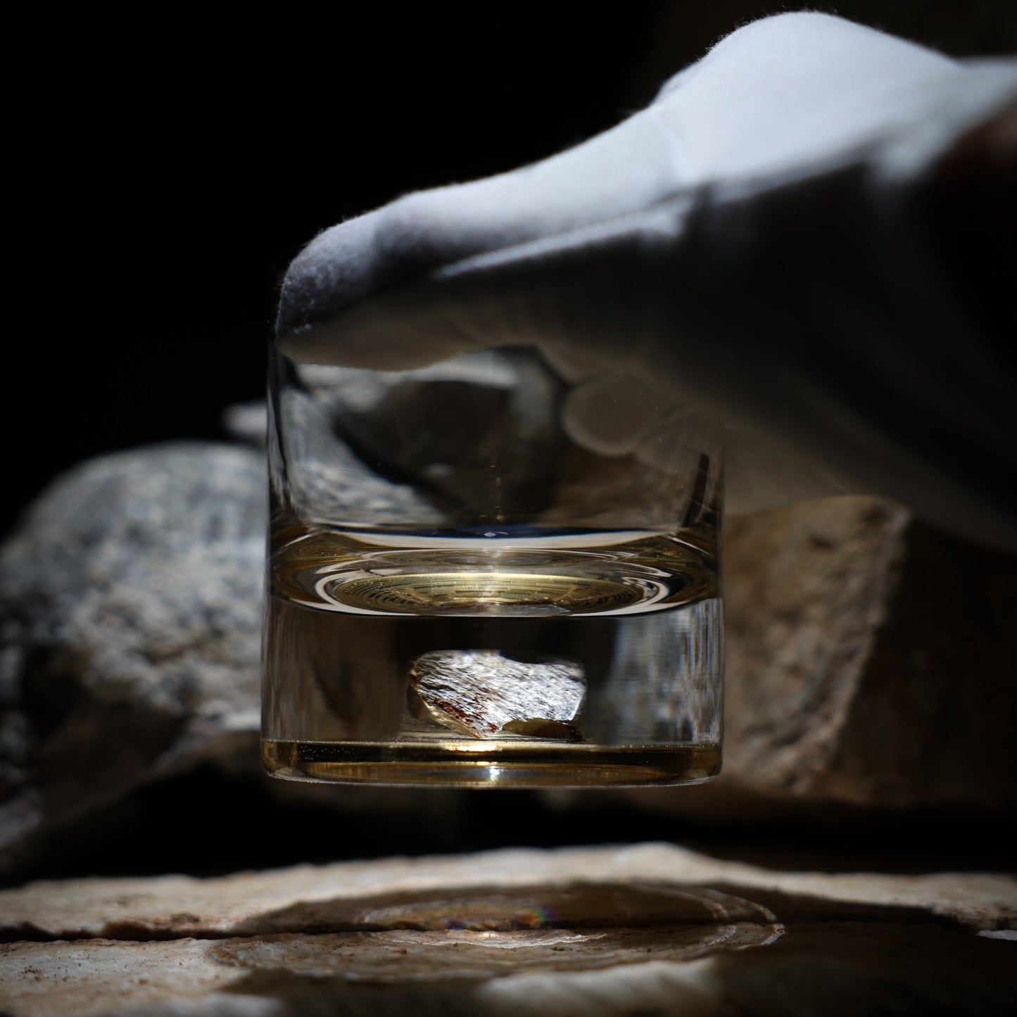 Dinosaur Bone Shard Tumbler - Set of 2