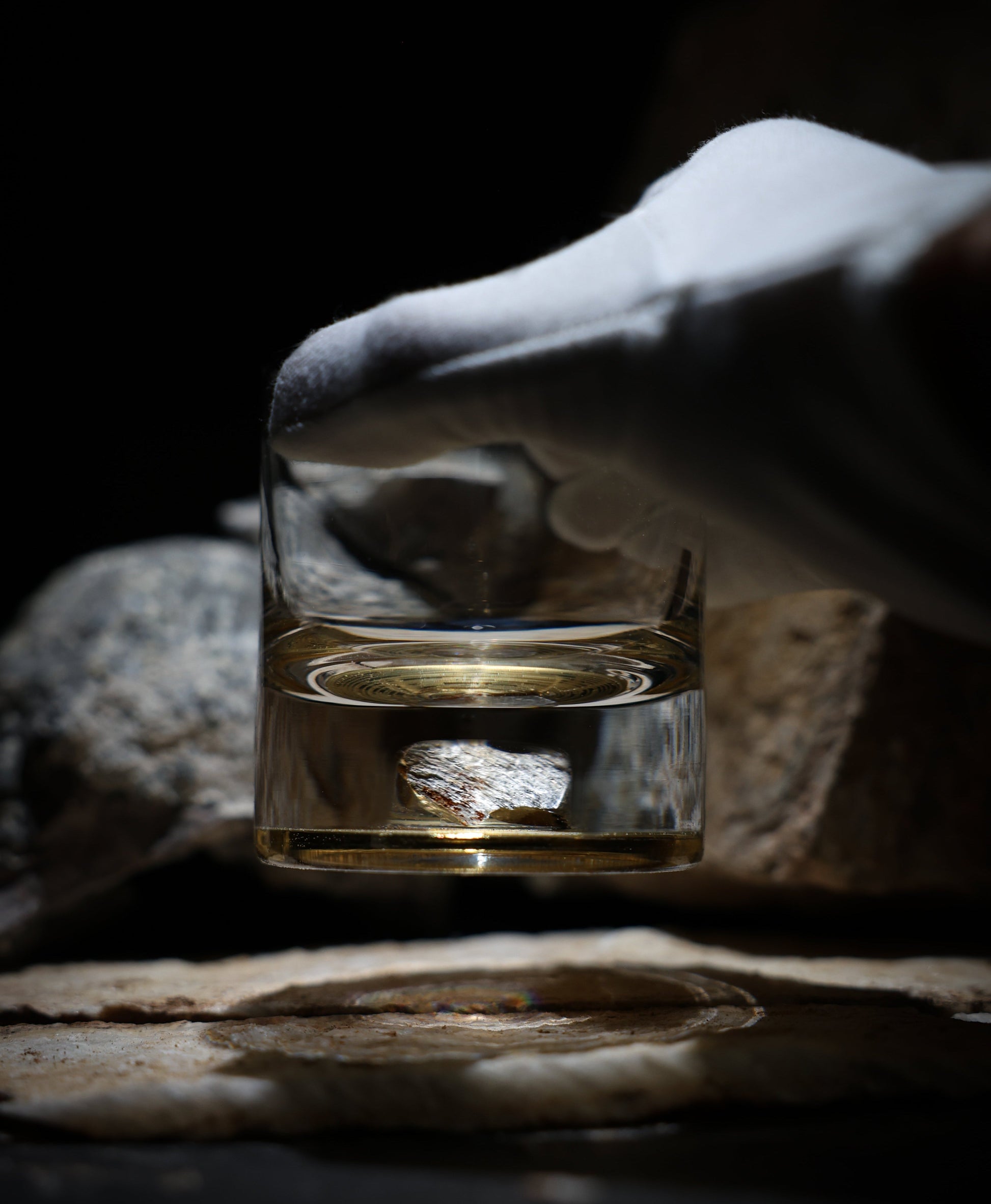 Dinosaur Bone Shard Tumbler Glasses