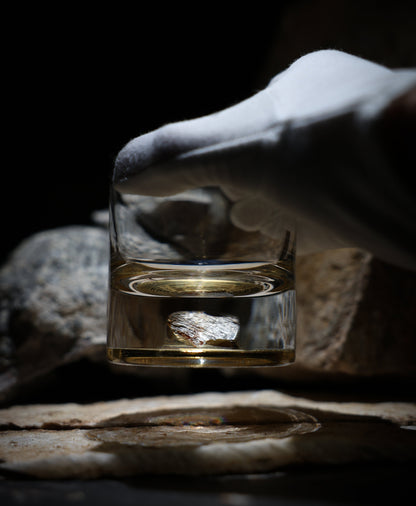 Dinosaur Bone Shard Tumbler Glasses