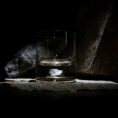 Dinosaur Bone Shard Tumbler - Set of 2