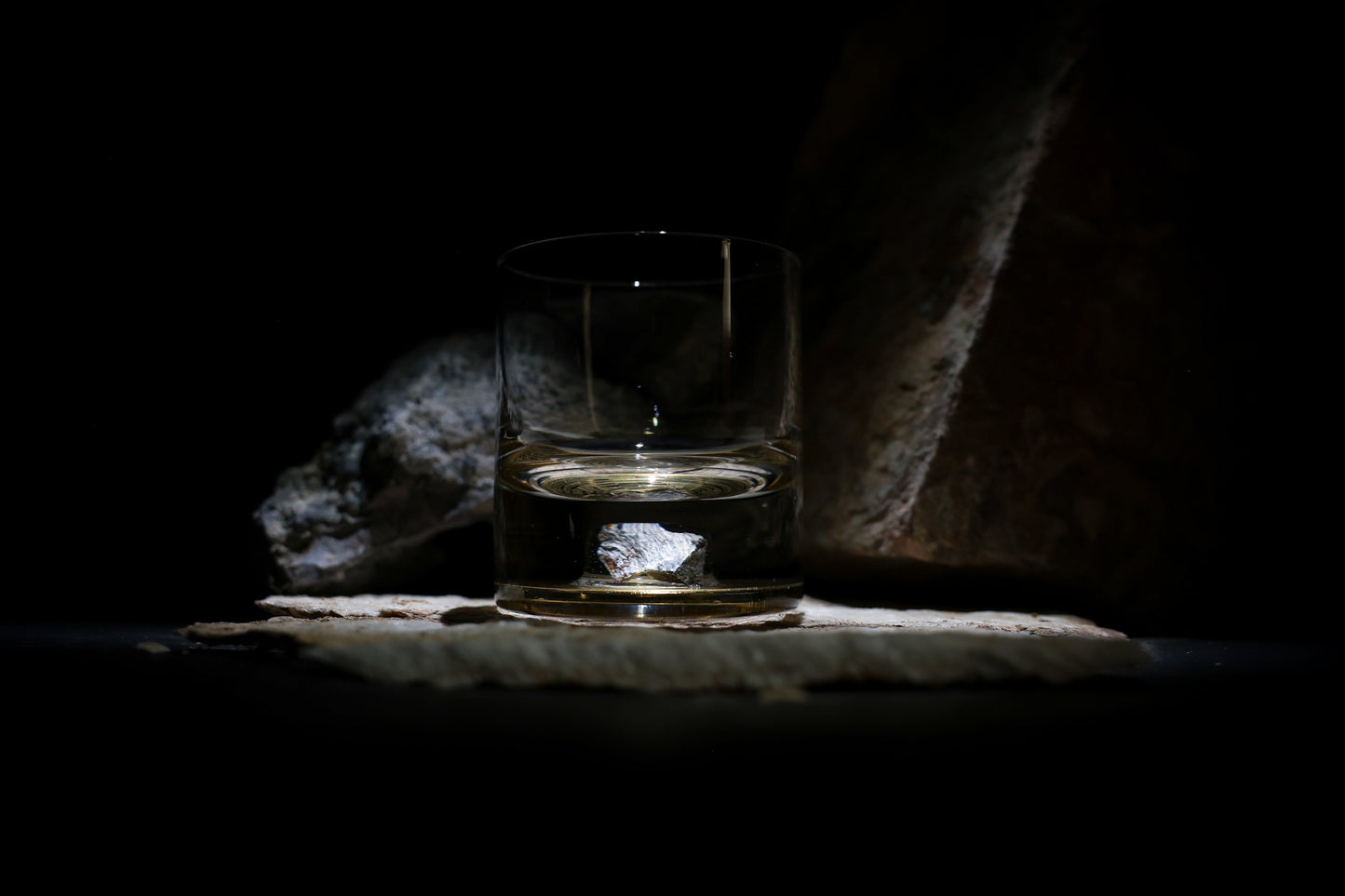 Dinosaur Bone Shard Tumbler Glasses