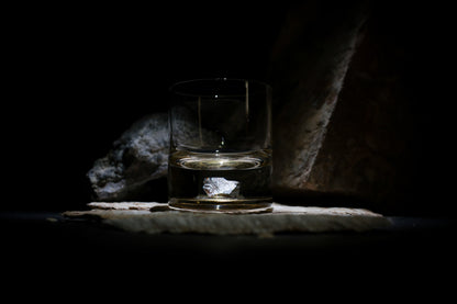 Dinosaur Bone Shard Tumbler Glasses