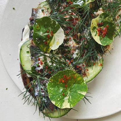 Fishwife Sardines with Hot Pepper
