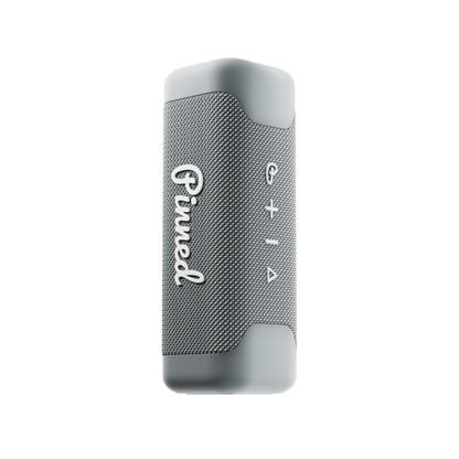 Pinned Golf Sound Stick Speaker Gray