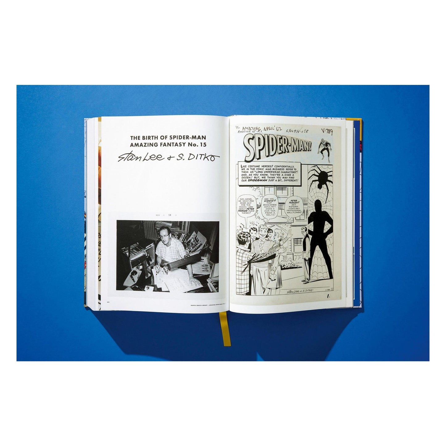 Spider-Man Vol. 1. 1962-1964