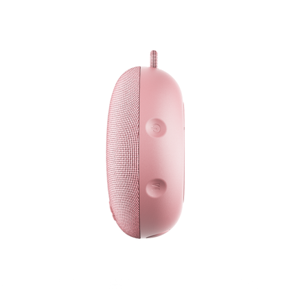 Pinned Dart 2.0 Speaker