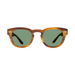 Barton Perreira Demarco - Umber Tortoise / Silver / Bottle Green (AR)