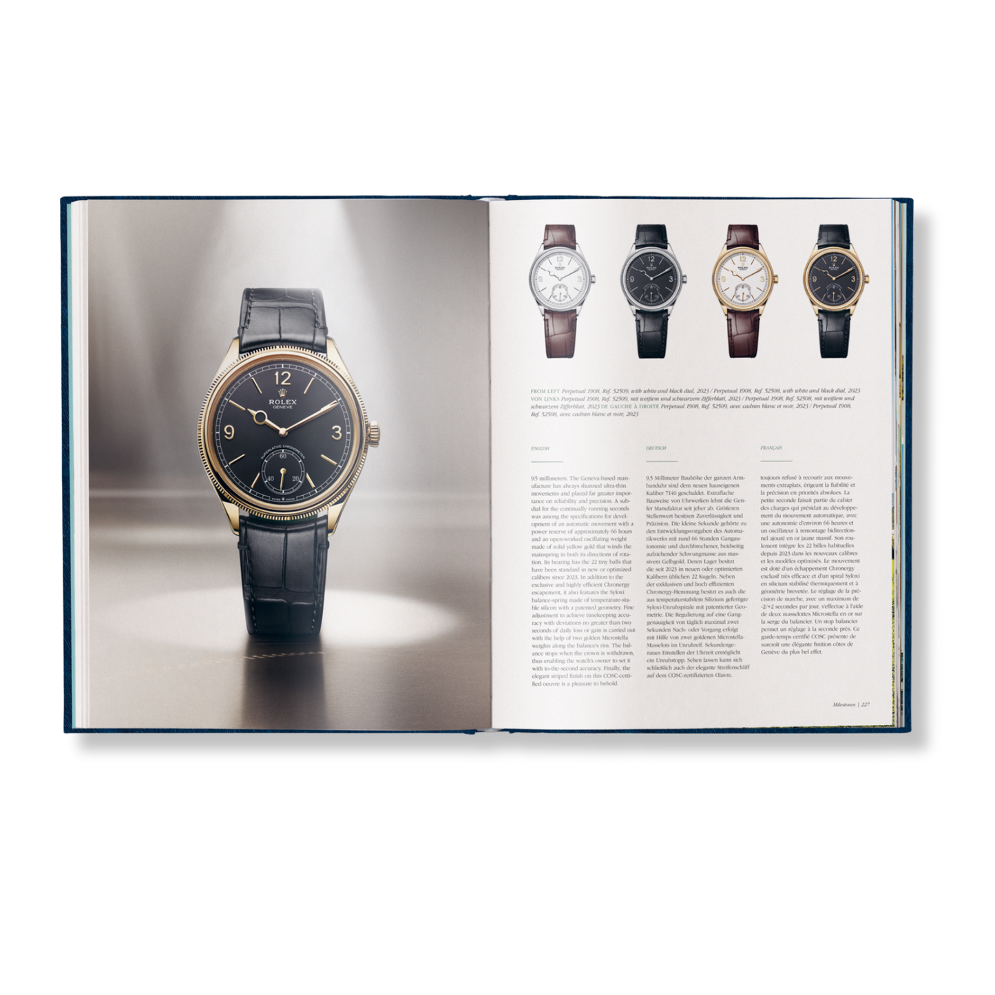 The Watch Book Rolex Special Luxury Edition