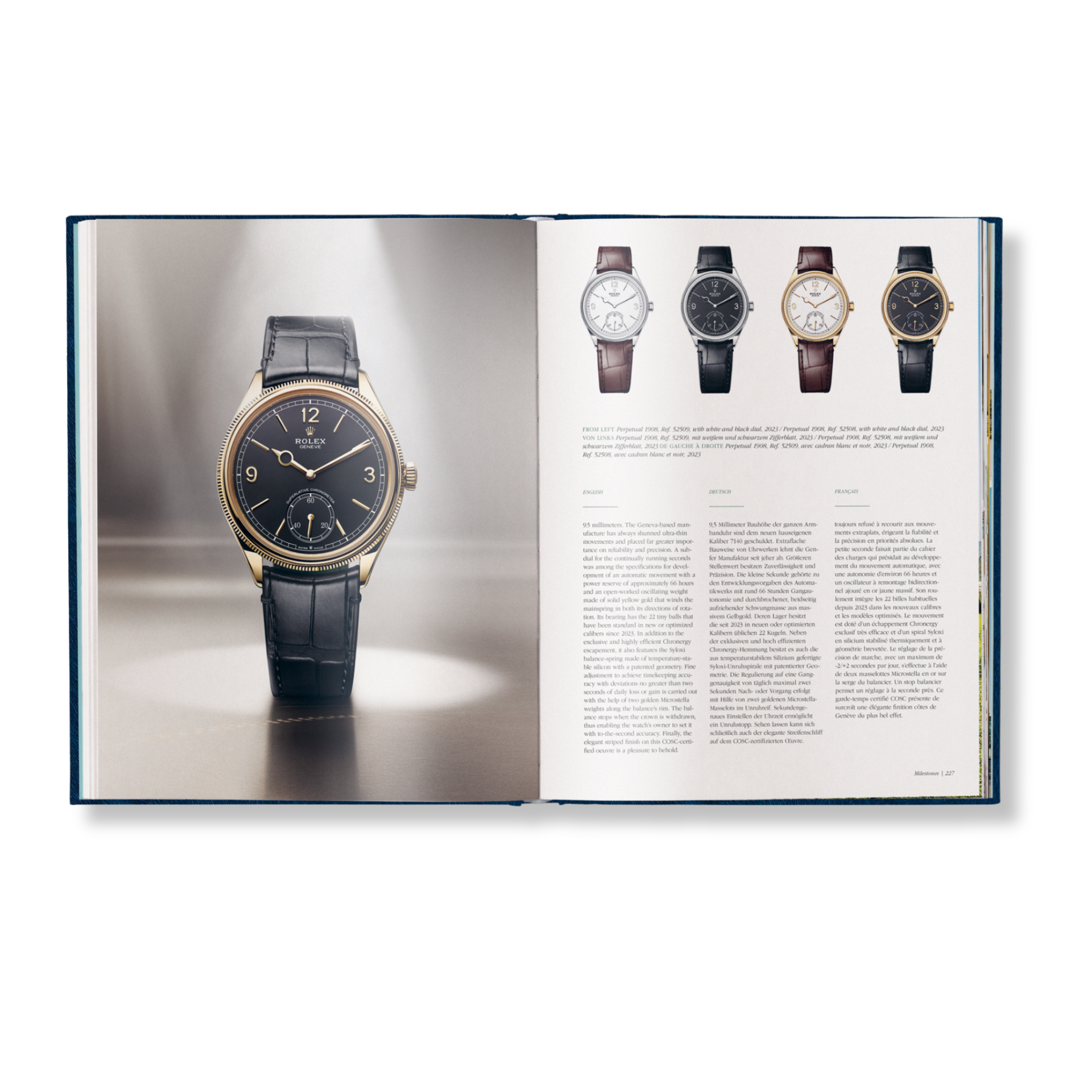The Watch Book Rolex Special Luxury Edition
