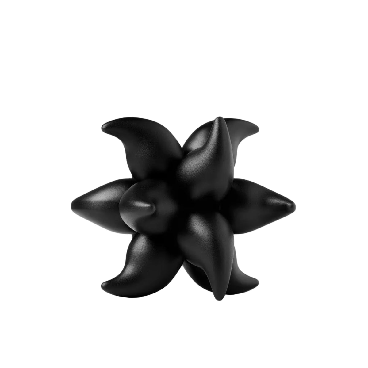 Craighill Andromeda Puzzle