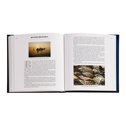 Oysters: A Celebration in the Raw