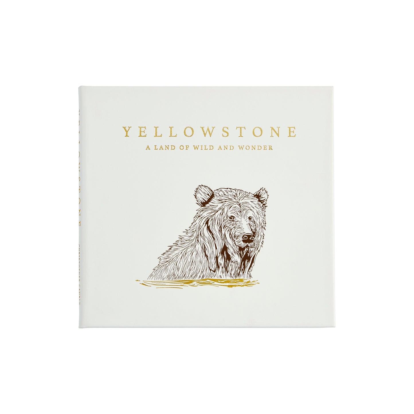 Yellowstone: A Land of Wild and Wonder