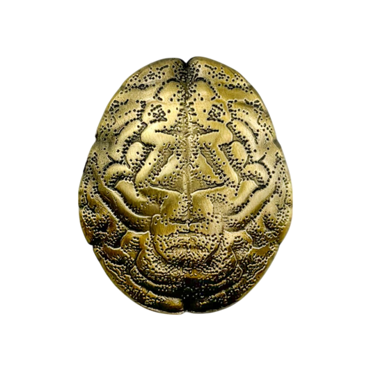 Tomo Golf The Overthinker Ball Marker