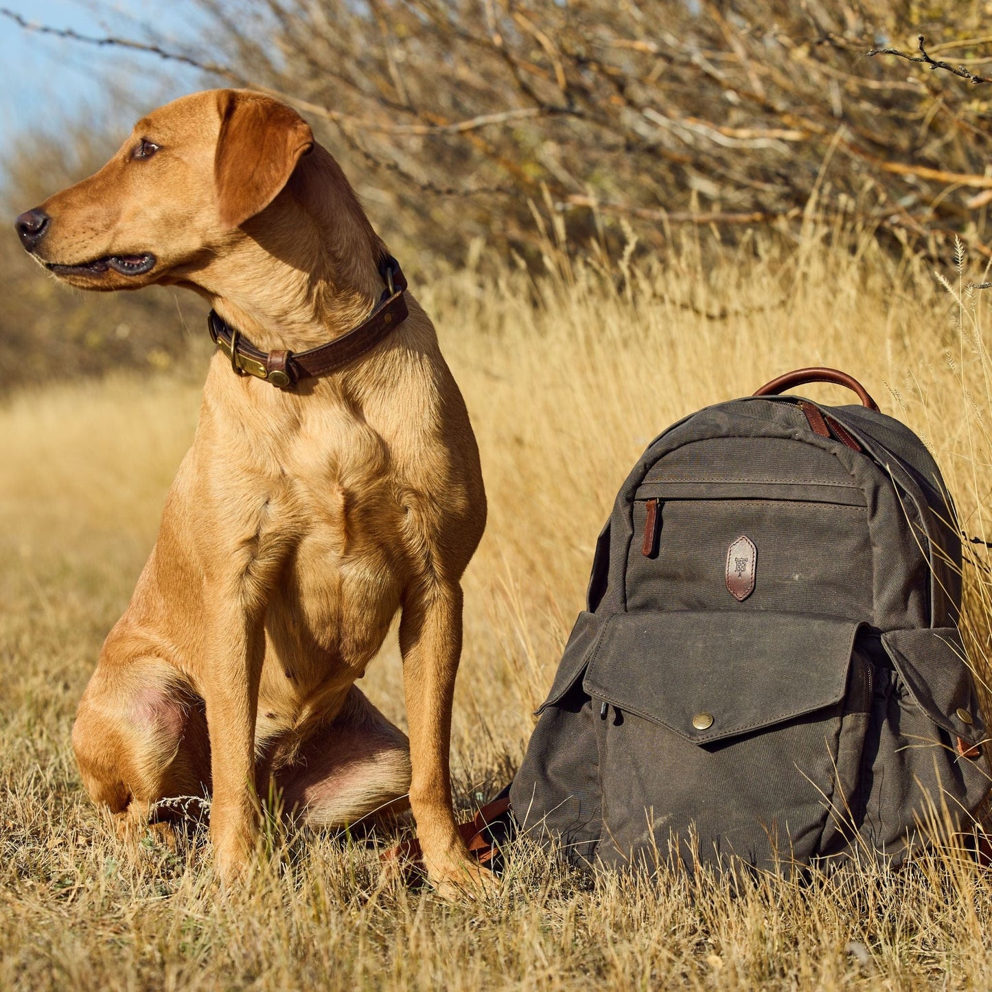 Tom Beckbe Canvas Backpack
