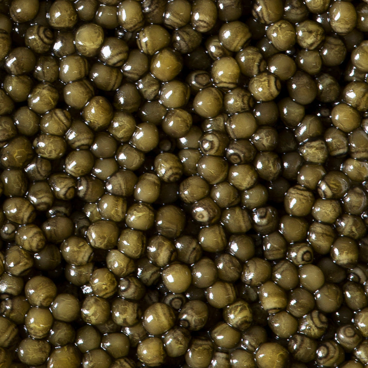Regalis Osetra Noir Caviar