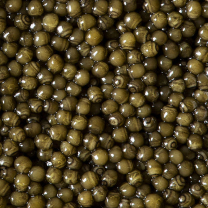 Regalis Osetra Noir Caviar